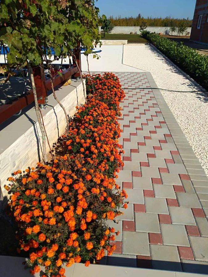 Villa Verbena Mala Cista 객실 사진