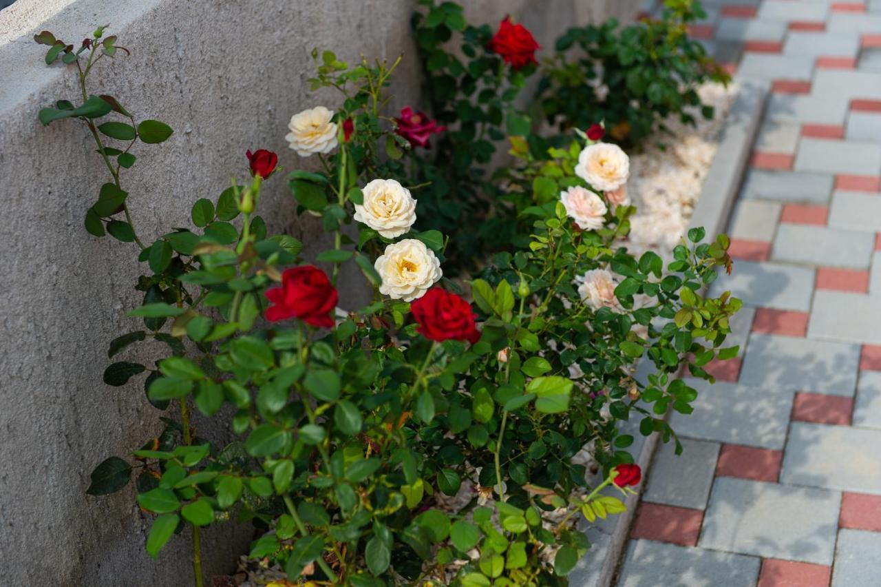 Villa Verbena Mala Cista 외부 사진