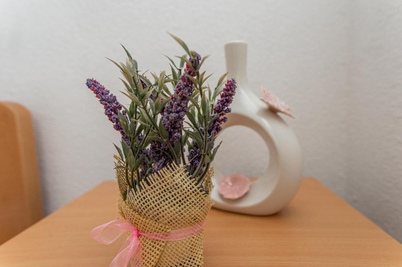 Villa Verbena Mala Cista 외부 사진