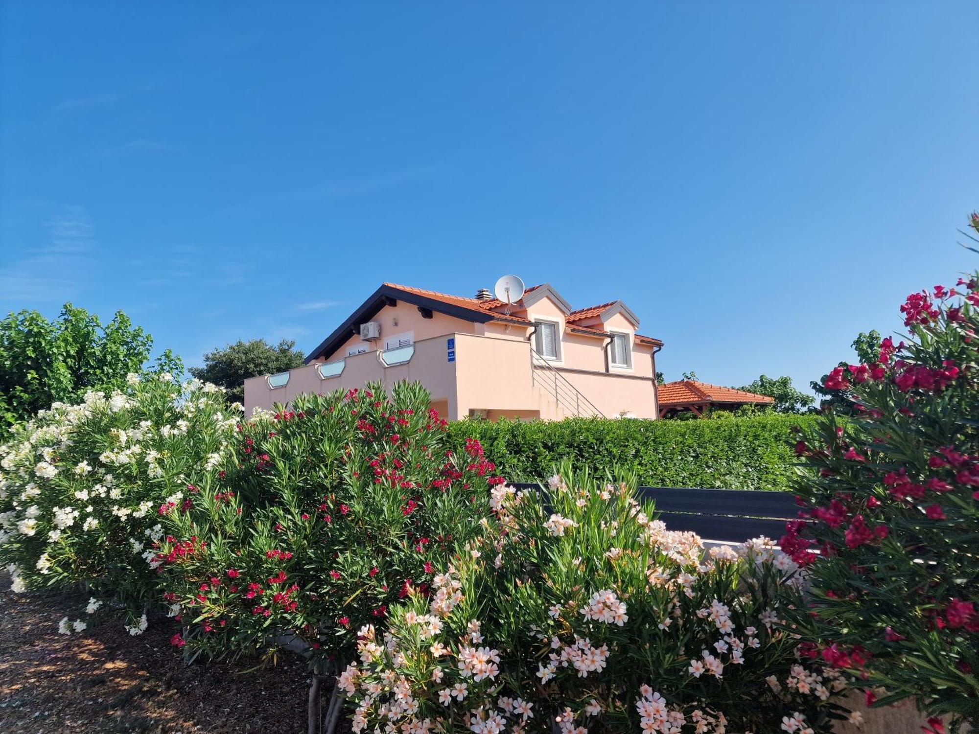 Villa Verbena Mala Cista 외부 사진